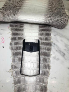 bọc da cá sấu bạch tạng