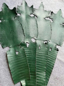 Da cá sấu Alligator Mississippiensis thuộc Ý