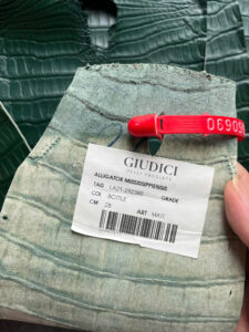 nhà thuộc da Giudici Pelli Pregiate (Italy)