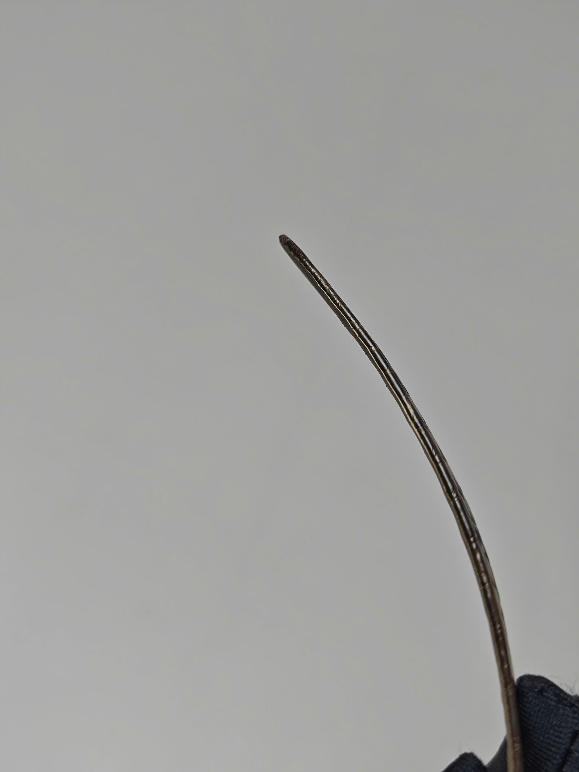 Dây đồng hồ Omega nữ da cá sấu Pháp - Hình ảnh 5